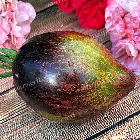 Томат ИЗУМРУДНАЯ КАРАМЕЛЬ ЕЛЕНЫ