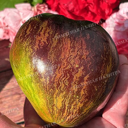 Томат ИЗУМРУДНАЯ КАРАМЕЛЬ ЕЛЕНЫ