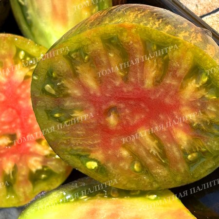 Томат ИЗУМРУДНАЯ КАРАМЕЛЬ ЕЛЕНЫ