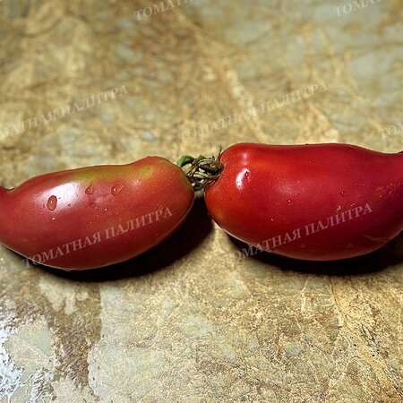 Томат ТУФЕЛЬКИ СУЛТАНА
