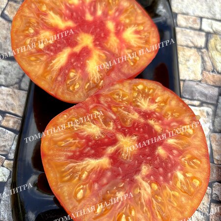 Томат АБРИКОСОВЫЙ КОНФИТЮР