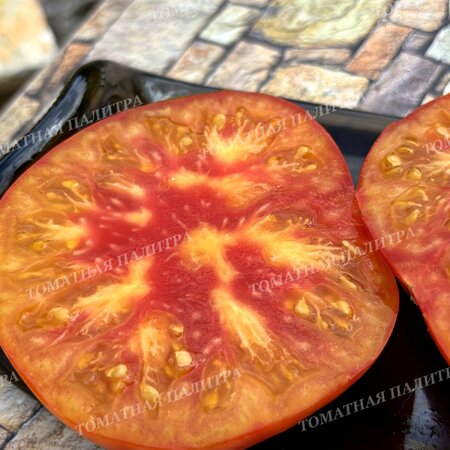 Томат АБРИКОСОВЫЙ КОНФИТЮР