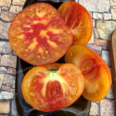 Томат АБРИКОСОВЫЙ КОНФИТЮР