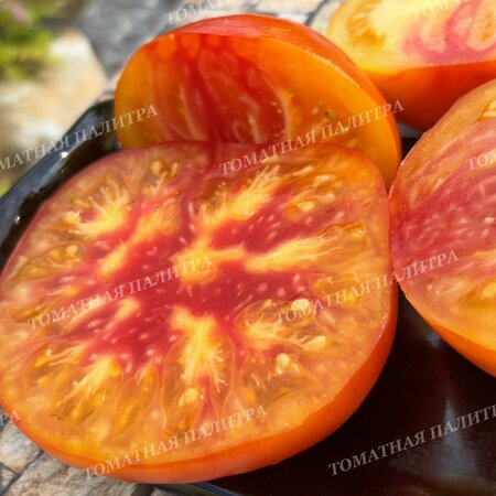 Томат АБРИКОСОВЫЙ КОНФИТЮР