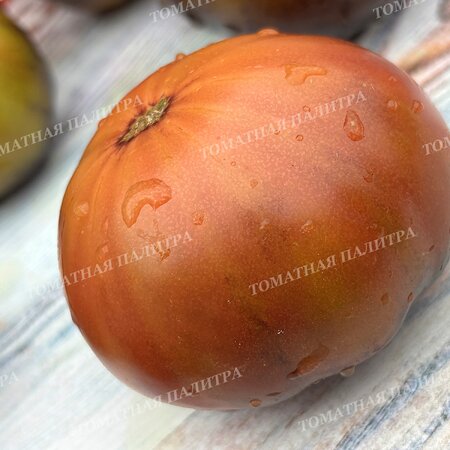Томат БЛАЖЕНСТВО