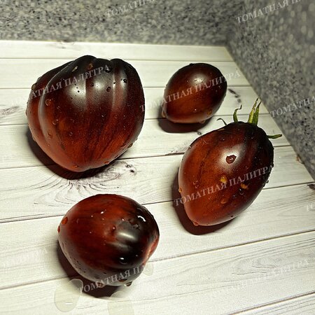 Томат БРОНЗОВЫЕ НОСИКИ СЕРЖАНТА ПЕППЕРА