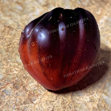 Томат БРОНЗОВЫЕ НОСИКИ СЕРЖАНТА ПЕППЕРА