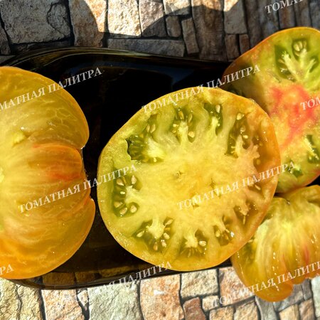 Томат ВИШНЕВЫЕ ПОЛОСЫ