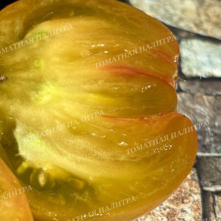 Томат ВИШНЕВЫЕ ПОЛОСЫ