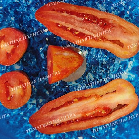 Томат ДЖАЛПА