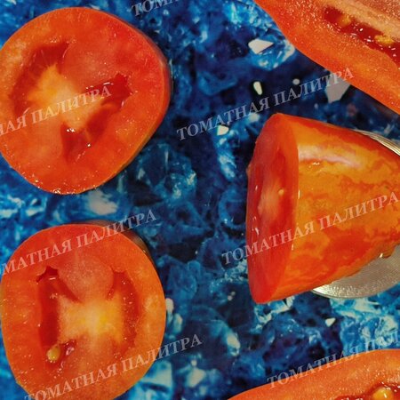 Томат ДЖАЛПА