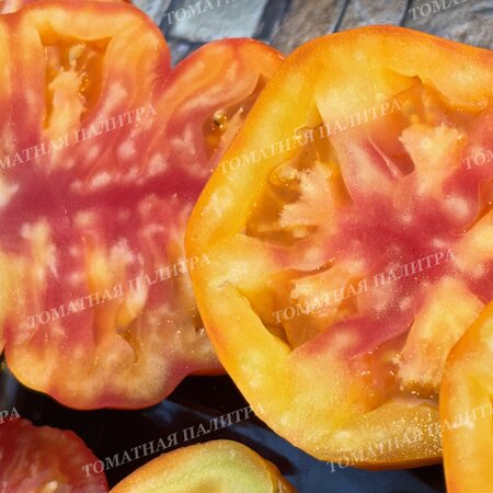 Томат МЕДОВЫЙ ГРЕБЕНЬ