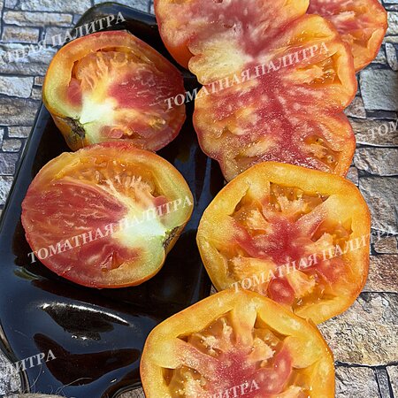 Томат МЕДОВЫЙ ГРЕБЕНЬ