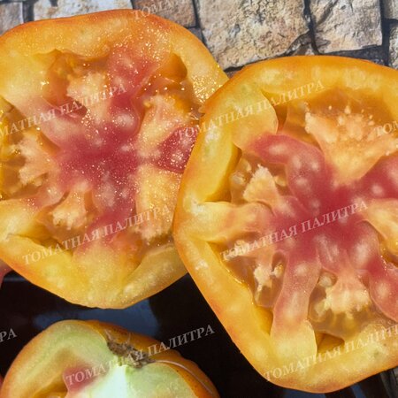 Томат МЕДОВЫЙ ГРЕБЕНЬ