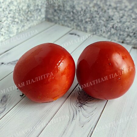 Томат УЛЬТРАСКОРОСПЕЛЫЙ 