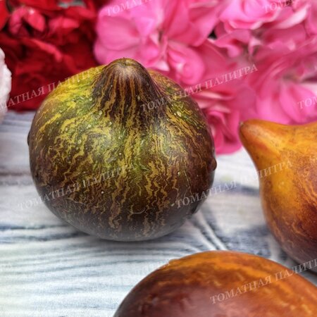 Томат Мятежный Звёздный Истребитель VT-16 жёлтый. (Rebel Starfighter VT-16 yellow), США  