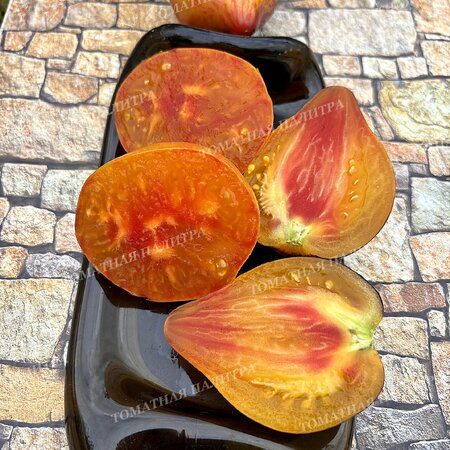 Томат Мятежный Звёздный Истребитель VT-16 жёлтый. (Rebel Starfighter VT-16 yellow), США  