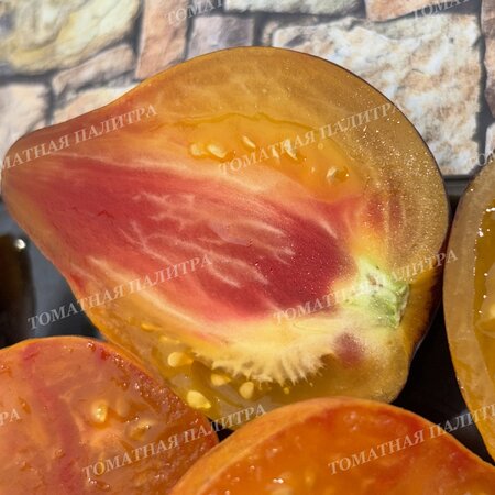 Томат Мятежный Звёздный Истребитель VT-16 жёлтый. (Rebel Starfighter VT-16 yellow), США  