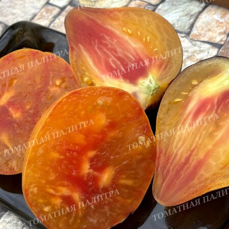 Томат Мятежный Звёздный Истребитель VT-16 жёлтый. (Rebel Starfighter VT-16 yellow), США  