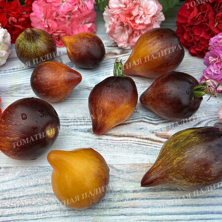 Томат Мятежный Звёздный Истребитель VT-16 жёлтый. (Rebel Starfighter VT-16 yellow), США  