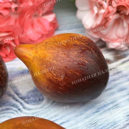 Томат Мятежный Звёздный Истребитель VT-16 жёлтый. (Rebel Starfighter VT-16 yellow), США  