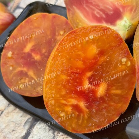 Томат Мятежный Звёздный Истребитель VT-16 жёлтый. (Rebel Starfighter VT-16 yellow), США  