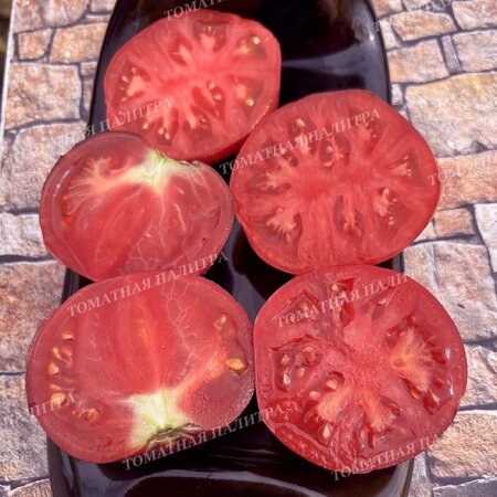 Томат Восставший Звездный Истребитель Кейли Энн ПИНК АНТО, США  