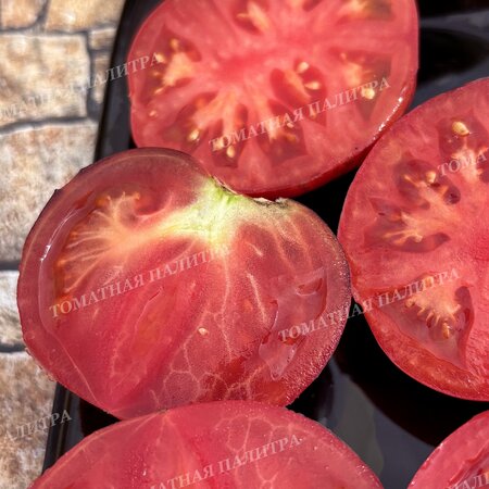 Томат Восставший Звездный Истребитель Кейли Энн ПИНК АНТО, США  