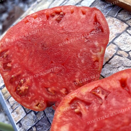 Томат РАБОЧИЙ ВЫПУСК ПАСТЫ (Work Release Paste), Италия.