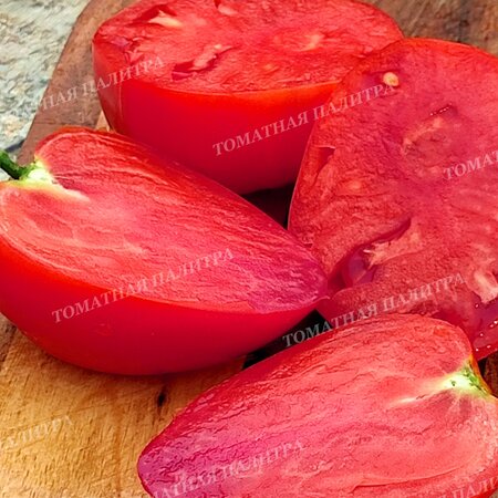 Томат РАБОЧИЙ ВЫПУСК ПАСТЫ * ПОЛЬСКАЯ СЛИВА ТЁТИ СВАРЛО