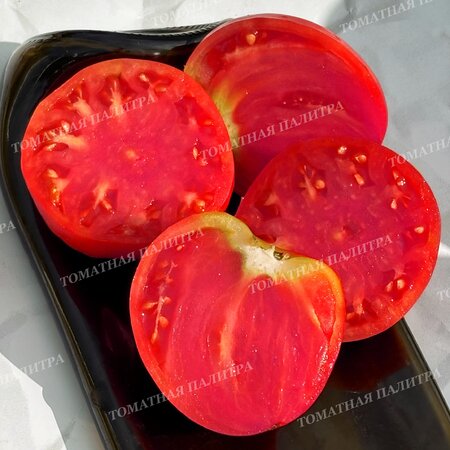 Томат МИНУСИНСКИЙ НИЗКОРОСЛЫЙ КРУПНЫЙ 