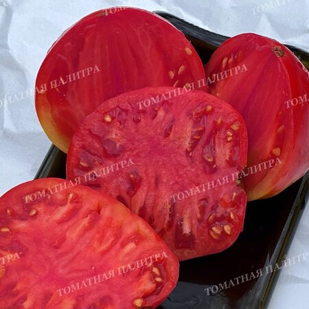 Томат МИНУСИНСКИЙ НИЗКОРОСЛЫЙ КРУПНЫЙ 