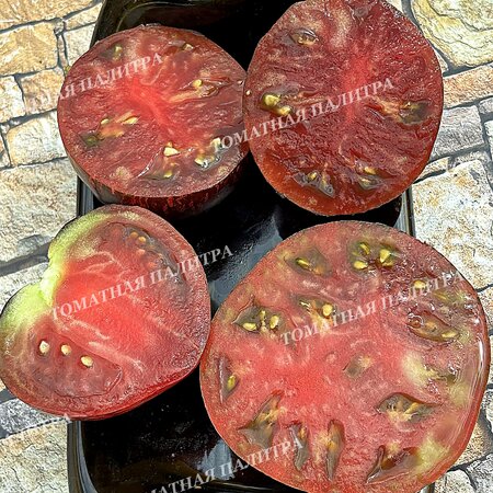 Томат САЛЮТ ВИКТОРИИ