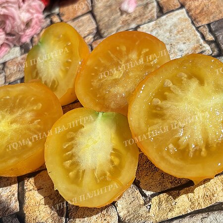 Томат ИЮНЬСКИЙ ЖЕЛТЫЙ УСЫПНОЙ 