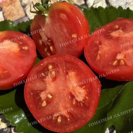 Томат КАЗАБАЛЫКСКИЙ СУПЕРРАННИЙ