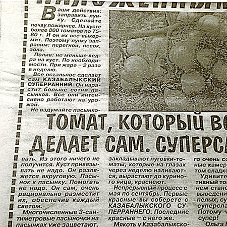 Томат КАЗАБАЛЫКСКИЙ СУПЕРРАННИЙ