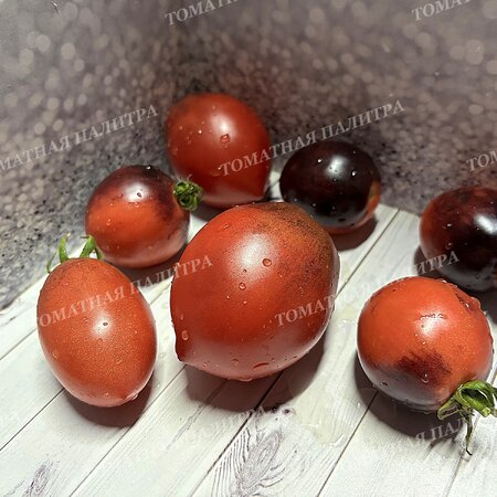 Томат КЛУБНИЧНЫЙ ВОДОПАД