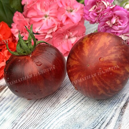 Томат КЛУБНИЧНЫЙ ВОДОПАД ПОЛОСАТЫЙ