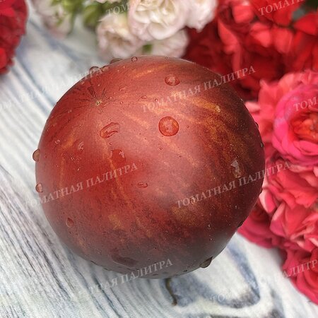 Томат КЛУБНИЧНЫЙ ВОДОПАД ПОЛОСАТЫЙ