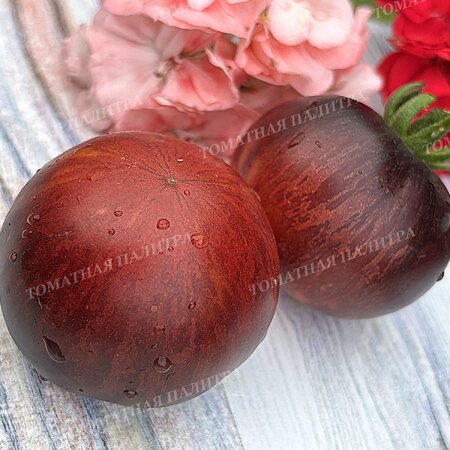 Томат КЛУБНИЧНЫЙ ВОДОПАД ПОЛОСАТЫЙ