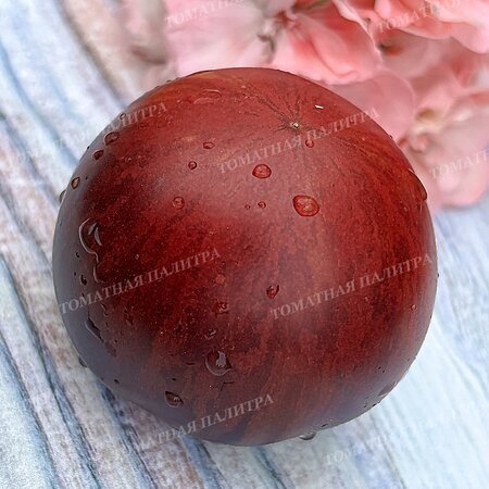 Томат КЛУБНИЧНЫЙ ВОДОПАД ПОЛОСАТЫЙ