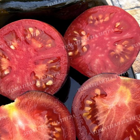 Томат КЛУБНИЧНЫЙ ВОДОПАД ПОЛОСАТЫЙ