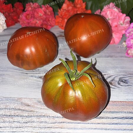 Томат МУАРОВЫЙ ЗАКАТ