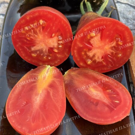 Томат ТВОЯ УЛЫБКА