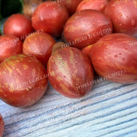 Томат ТВОЯ УЛЫБКА