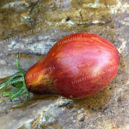 Томат ТВОЯ УЛЫБКА