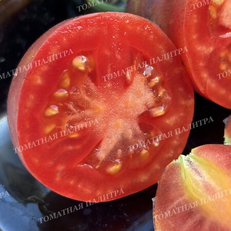 Томат ТВОЯ УЛЫБКА
