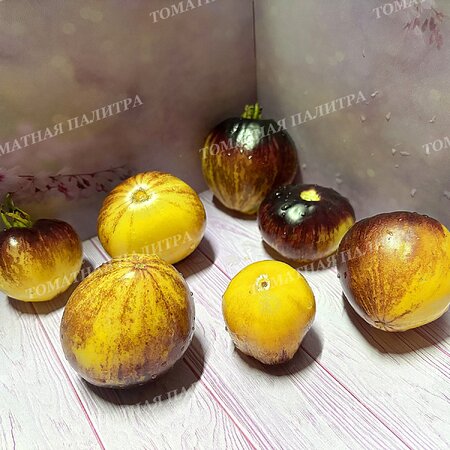 Томат ОЧЕНЬ СЛАДКИЙ БЛЮЗ