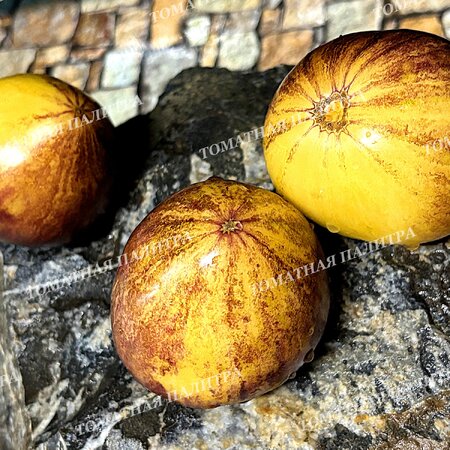 Томат ОЧЕНЬ СЛАДКИЙ БЛЮЗ