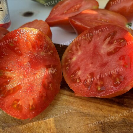 Томат ГНОМ Восставший Звездный Истребитель ДЕДУШКИНО СЕРДЦЕ / Dwarf RS Grandpa's Heart